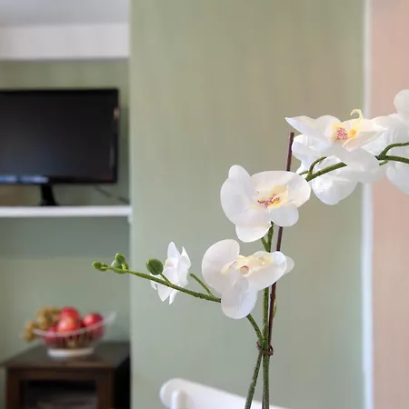 Sweet Pergola - Flo Apartman *